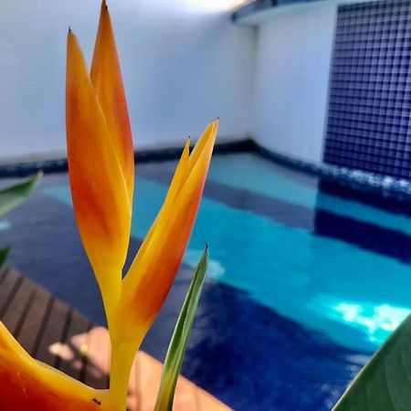 Recanto Das Andorinhas Studios Araquari Kültér fotó